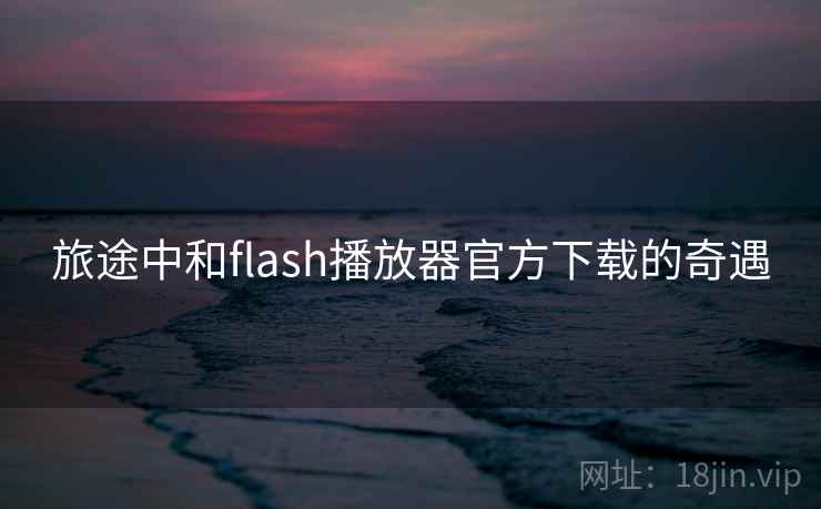 旅途中和flash播放器官方下载的奇遇