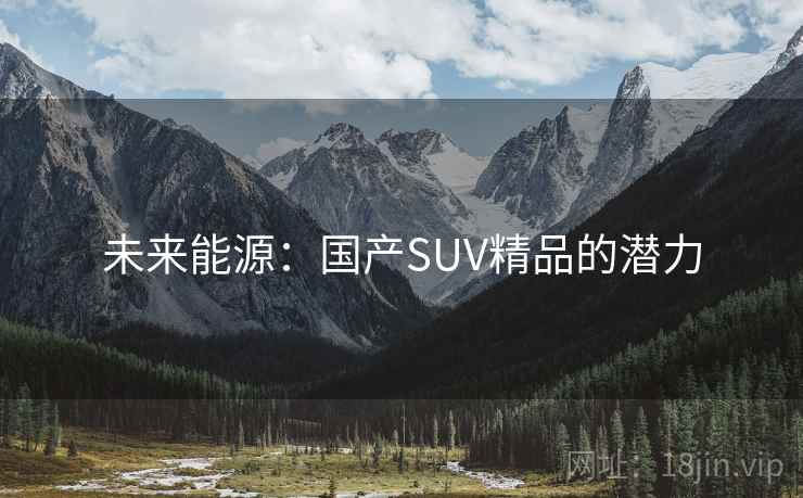 未来能源：国产SUV精品的潜力